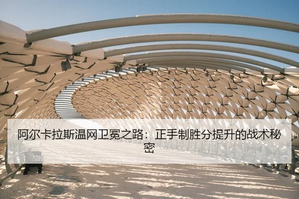 a-er-ka-la-si-wen-wang-wei-mian-zhi-lu-zheng-shou-zhi-sheng-fen-ti-sheng-de-zhan-shu-mi-mi-2-567.jpg