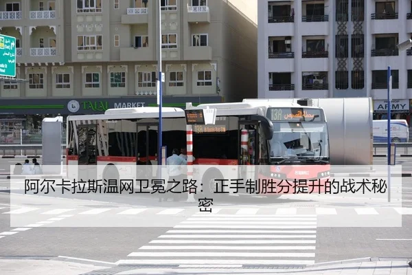 a-er-ka-la-si-wen-wang-wei-mian-zhi-lu-zheng-shou-zhi-sheng-fen-ti-sheng-de-zhan-shu-mi-mi-3-451.jpg